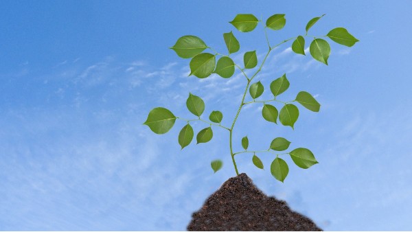 一起來(lái)了解碳中和！